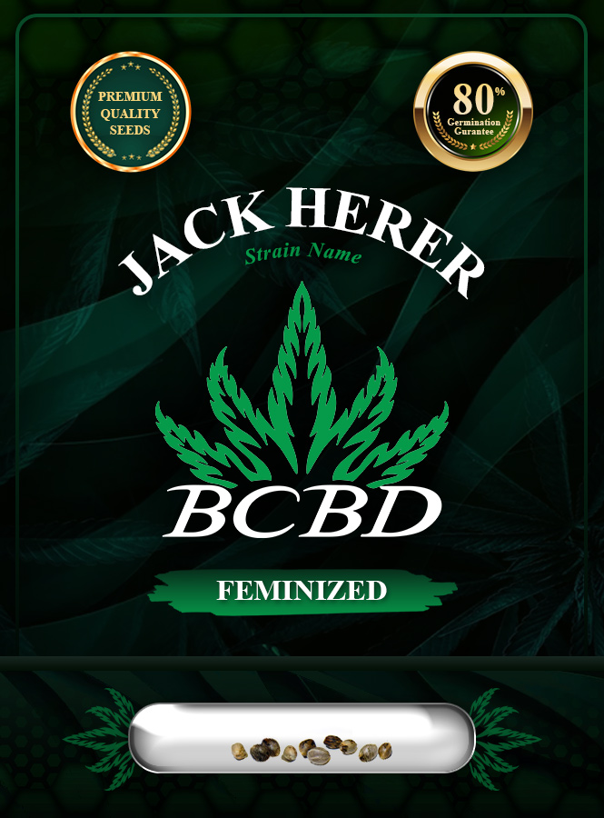 Jack Herer Strain Feminized Marijuana Seeds