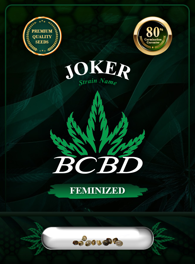 Joker Strain Feminized Marijuana Seeds