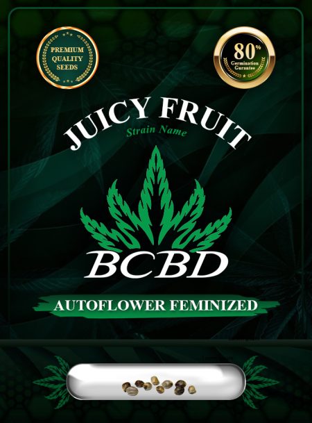Juicy Fruit Strain Autoflowering