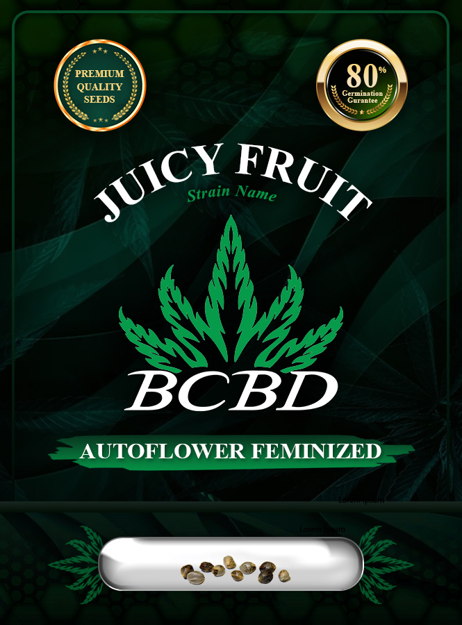 Juicy Fruit Strain Autoflowering Marijuana Seeds