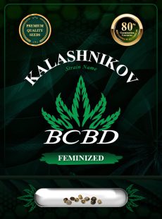 Kalashnikov Strain Feminized
