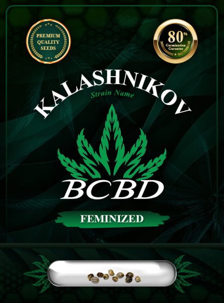 Kalashnikov Strain Feminized