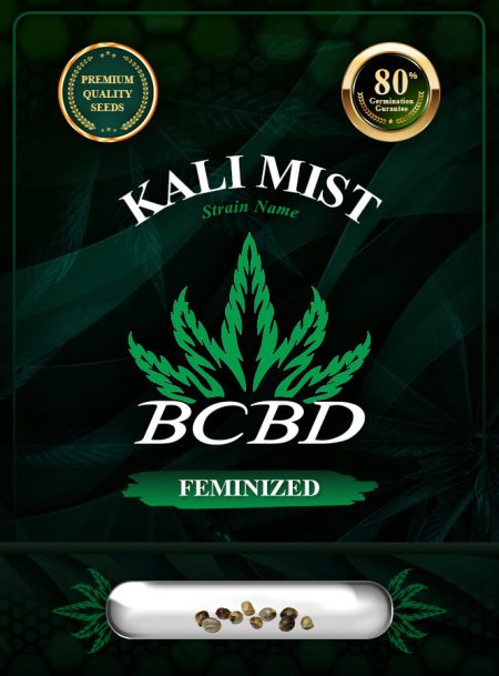 Kali Mist Strain Feminized