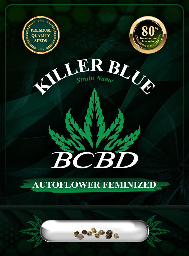 Killer Blue Strain Autoflowering Marijuana Seeds