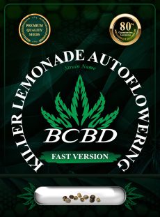 Killer Lemonade Strain Auto Fast Version