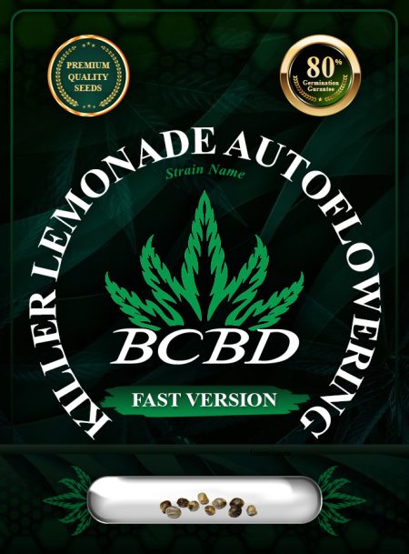 Killer Lemonade Strain Auto Fast Version