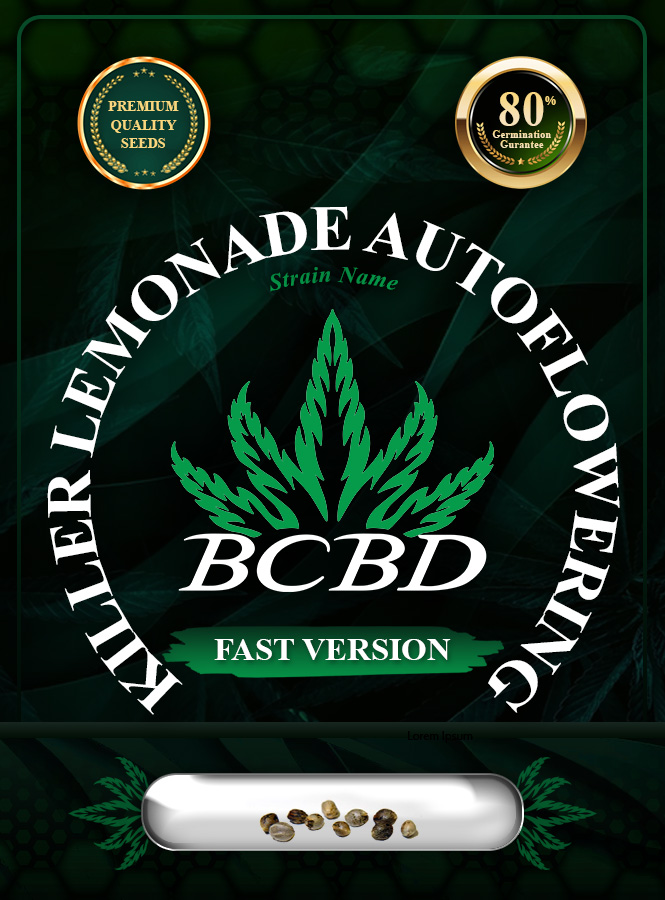 Killer Lemonade Strain Auto Fast Version Marijuana Seeds