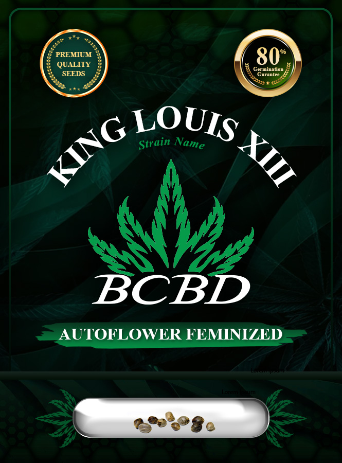 King Louis XIII Strain Autoflowering Marijuana Seeds