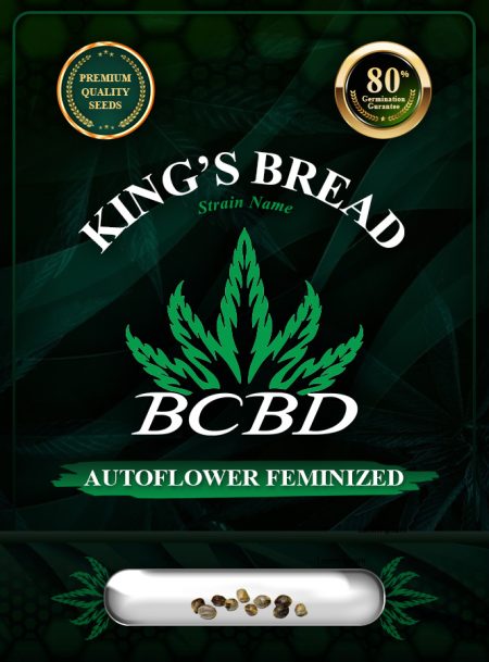 King’s Bread Strain Autoflowering