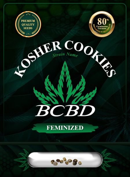 Kosher Cookies Strain Feminized