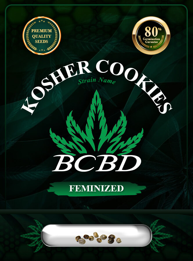 Kosher Cookies Strain Feminized Marijuana Seeds