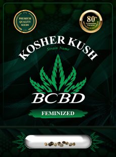 Kosher Kush Feminized