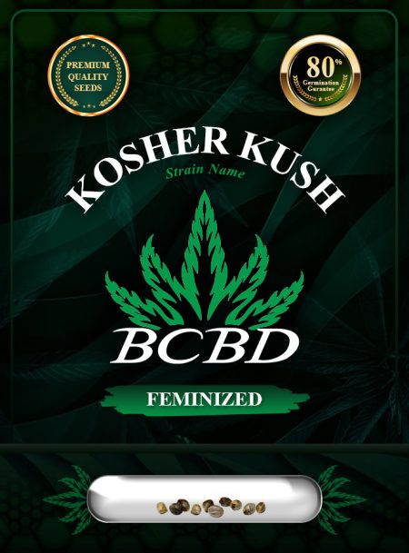 Kosher Kush Feminized