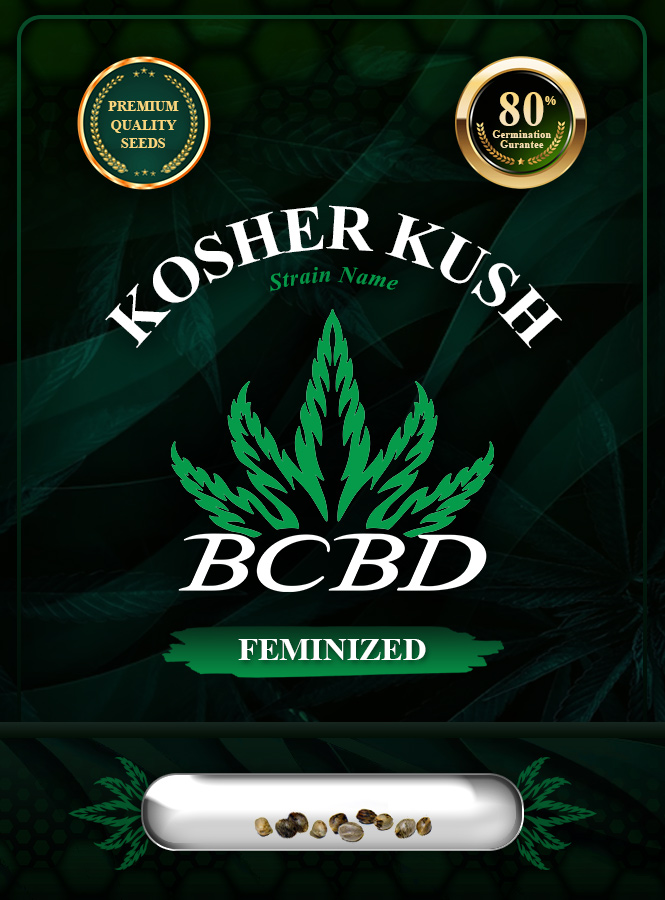 Kosher Kush Feminized Marijuana Seeds