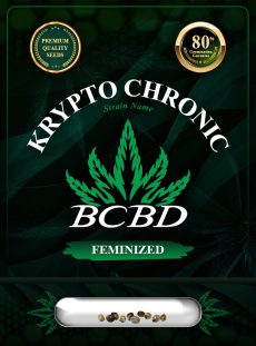 Krypto Chronic Strain Feminized