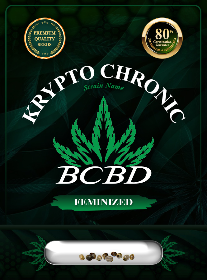 Krypto Chronic Strain Feminized Marijuana Seeds