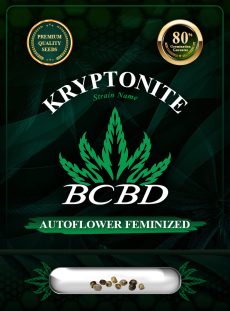 Kryptonite Strain Autoflowering