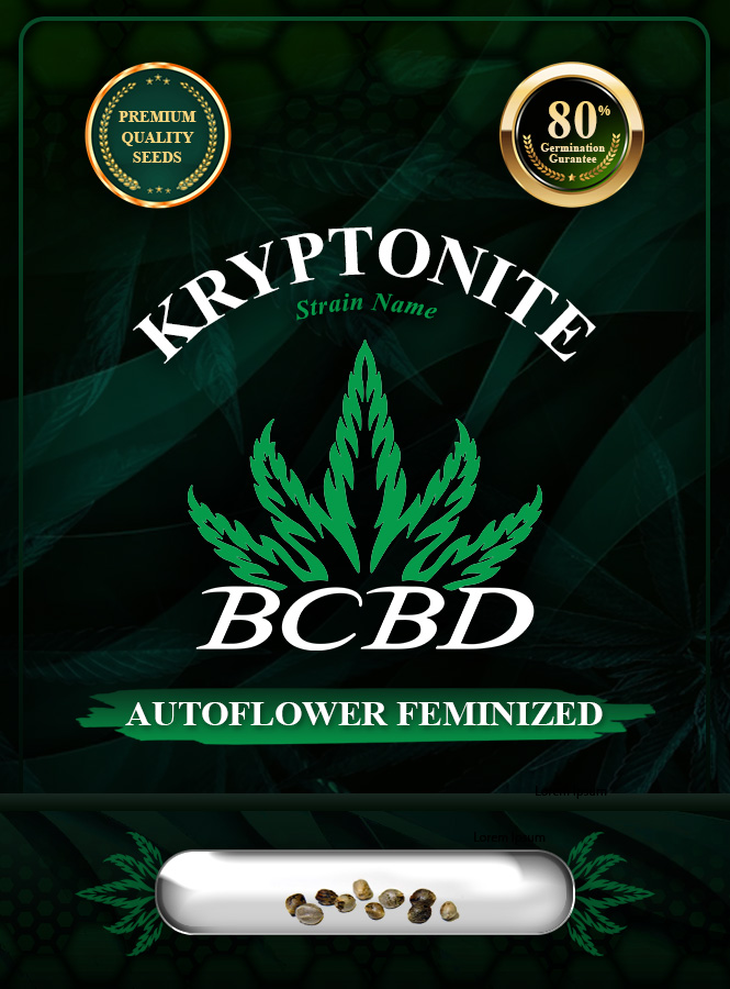 Kryptonite Strain Autoflowering Marijuana Seeds
