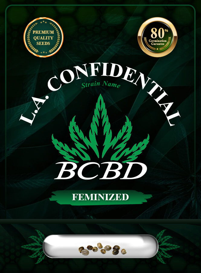 L.A. Confidential Strain Feminized Marijuana Seeds