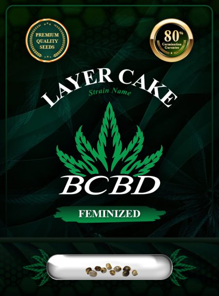 Layer Cake Strain Feminized
