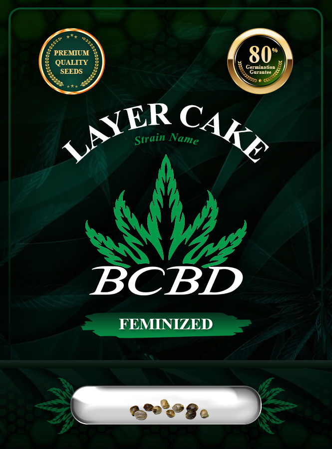 Layer Cake Strain Feminized Marijuana Seeds