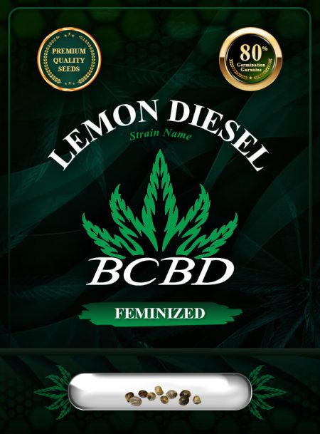 Lemon Diesel Strain Feminized