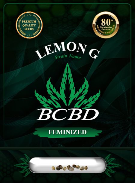 Lemon G Strain Feminized Marijuana Seeds