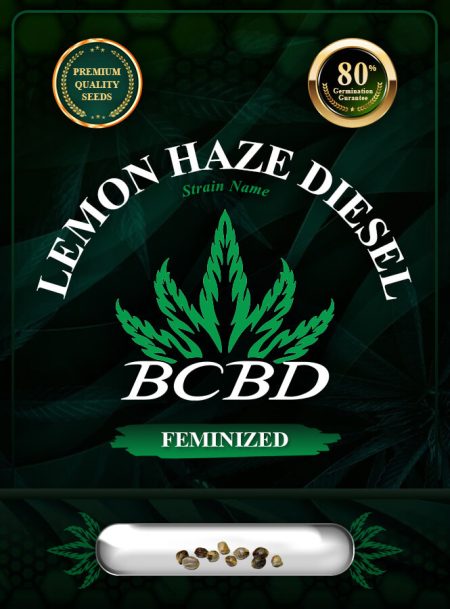 Lemon Haze Diesel Feminized