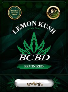 Lemon Kush Feminized