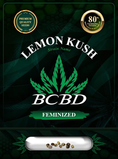 Lemon Kush Feminized