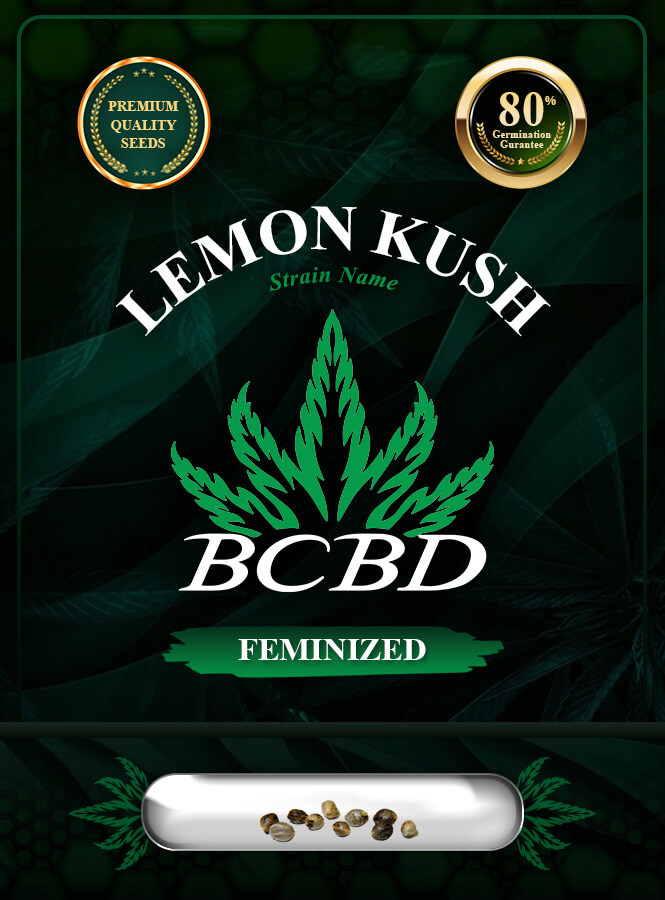 Lemon Kush Feminized Marijuana Seeds