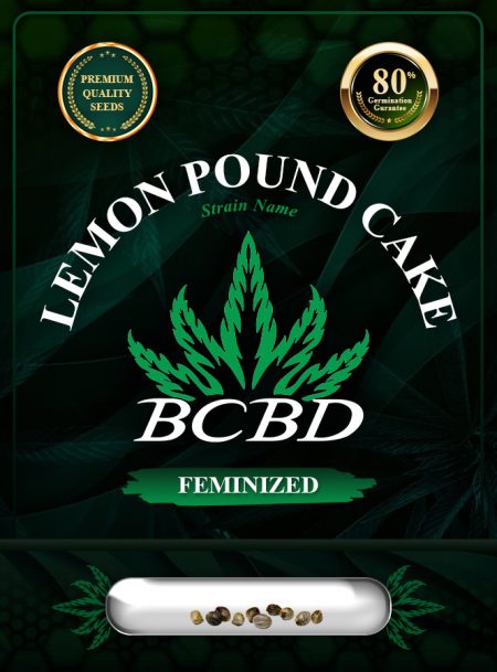 Lemon Pound Cake Strain Feminized