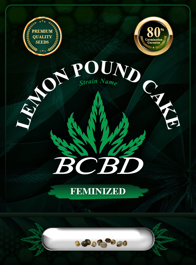 Lemon Pound Cake Strain Feminized Marijuana Seeds