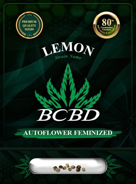 Lemon Strain Autoflowering
