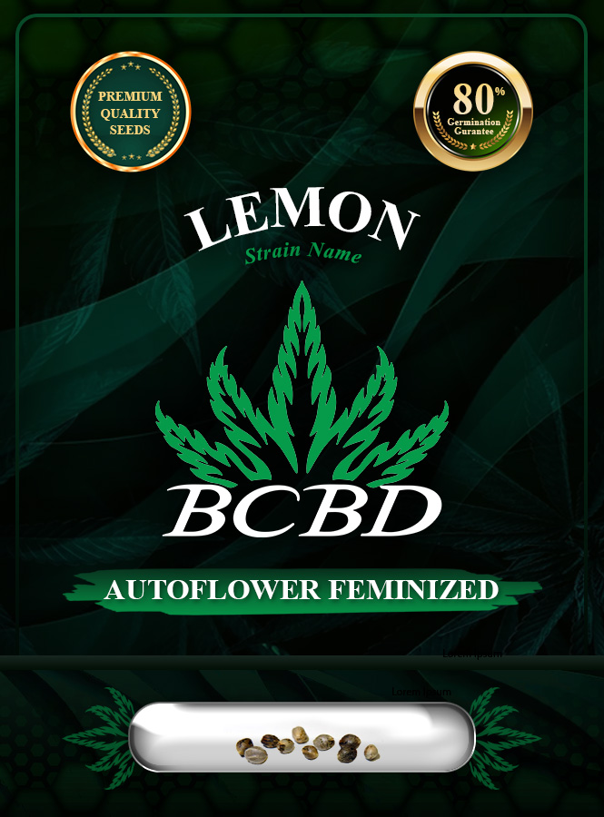 Lemon Strain Autoflowering Marijuana Seeds