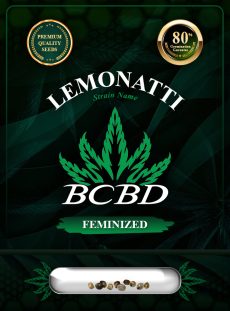 Lemonatti Strain Feminized Marijuana Seeds