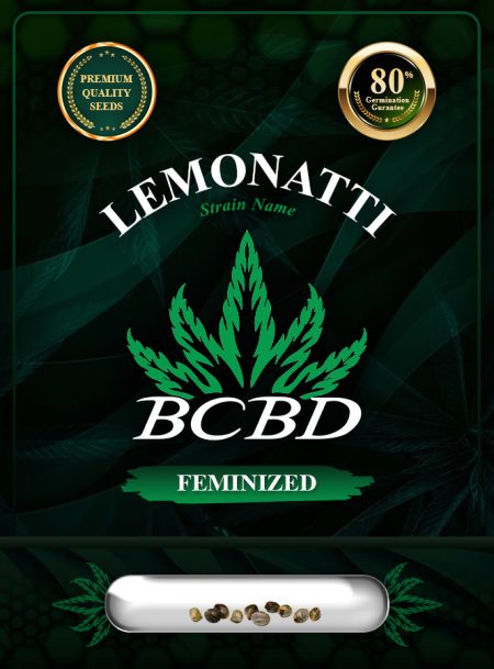 Lemonatti Strain Feminized Marijuana Seeds