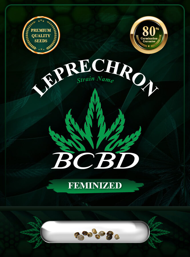 Leprechron Strain Feminized Marijuana Seeds