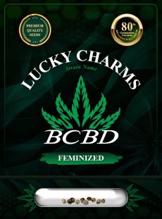 Lucky Charms Strain Feminized