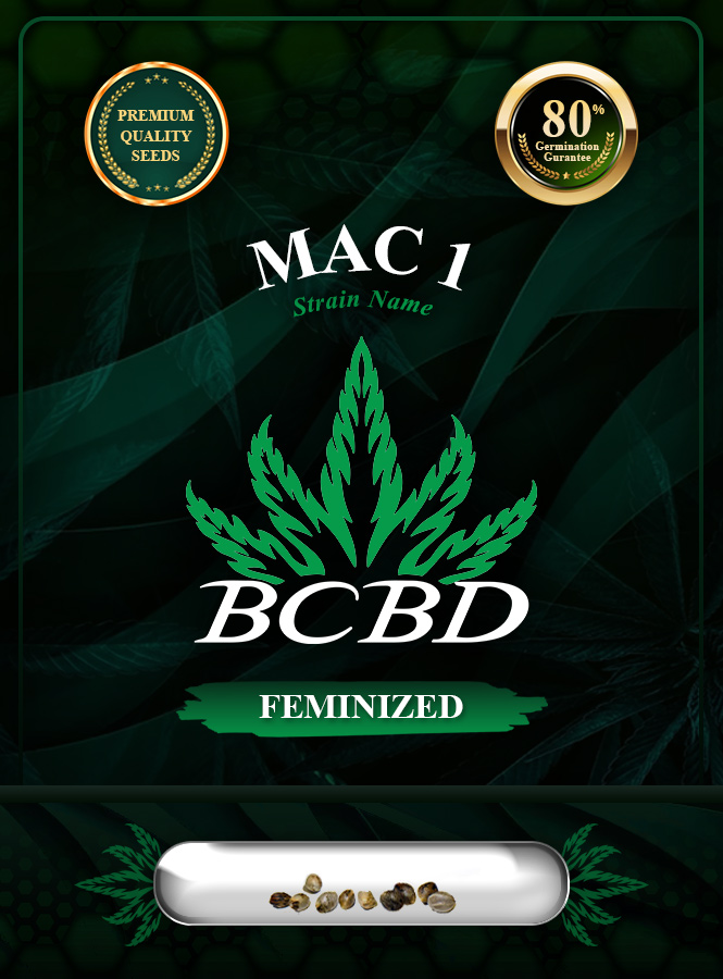 Mac 1 Strain Feminized Marijuana Seeds