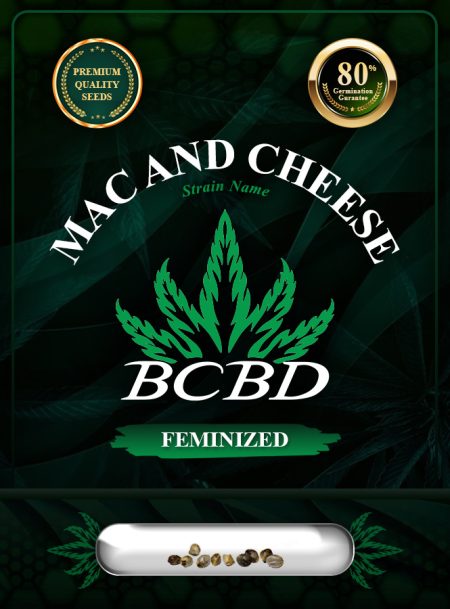 Mac and Cheese Strain Feminized