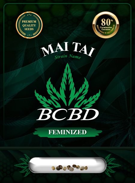 Mai Tai Strain Feminized