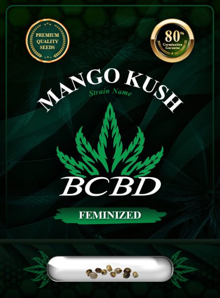 Mango Kush Feminized
