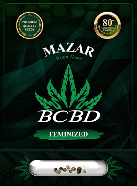 Mazar Feminized
