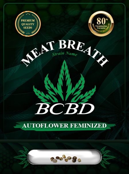 Meat Breath Strain Autoflowering