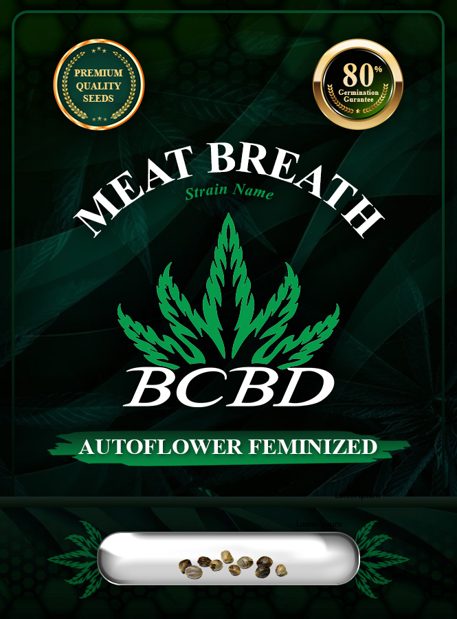 Meat Breath Strain Autoflowering Marijuana Seeds