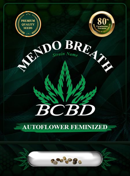 Mendo Breath Strain Autoflowering