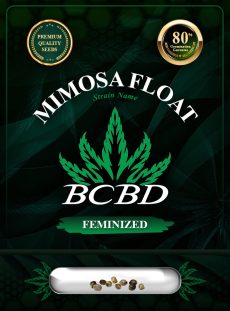 Mimosa Float Strain Feminized