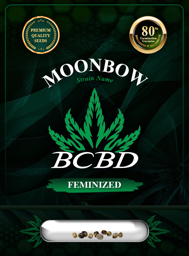 Moonbow Strain Feminized Marijuana Seeds