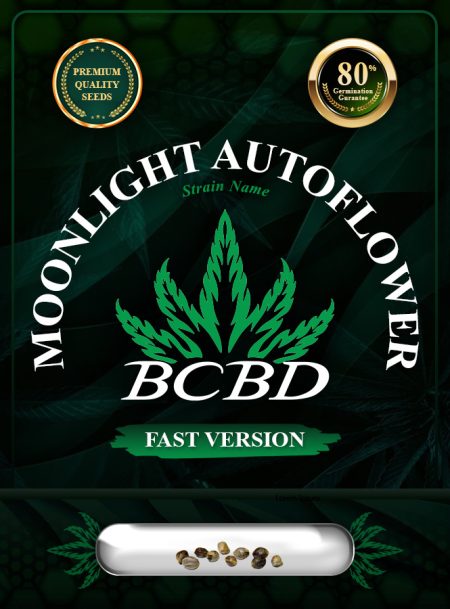 Moonlight Autoflowering Strain Fast Version